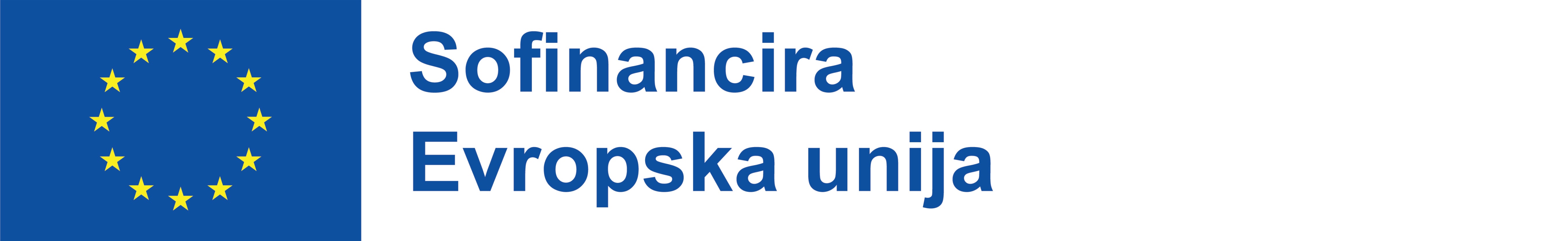 Co-funded by the European Union